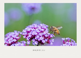 WP7A6511_??