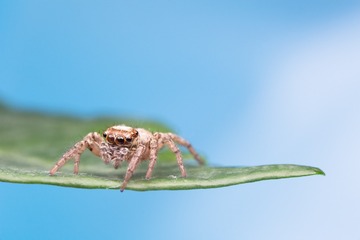WP7A7843
