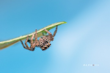 WP7A7849_??(1)