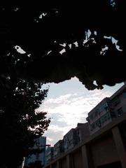 290512