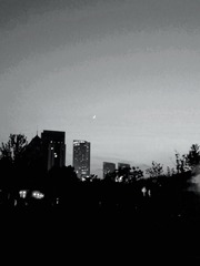 290117