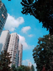 290751