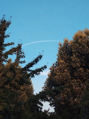 318632