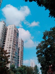 290745