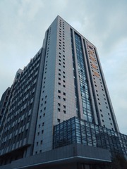 290619