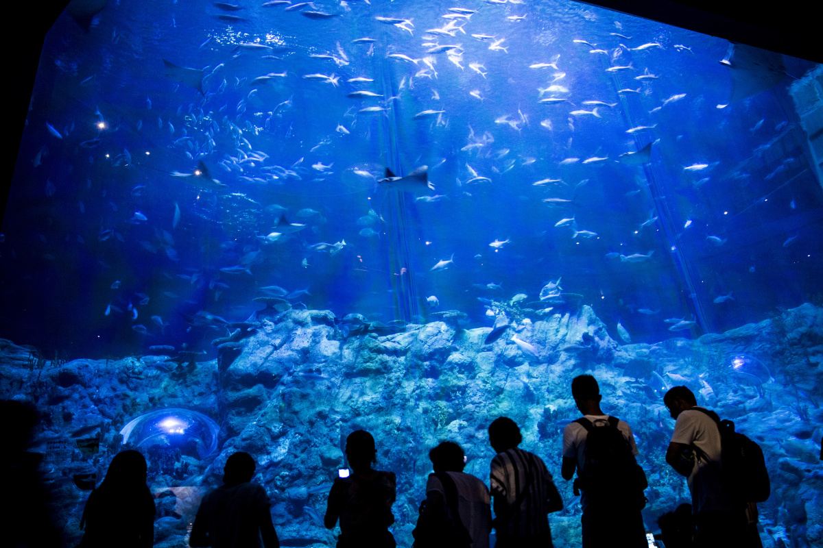 海洋公园海洋馆