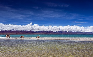 IMG_1323_02