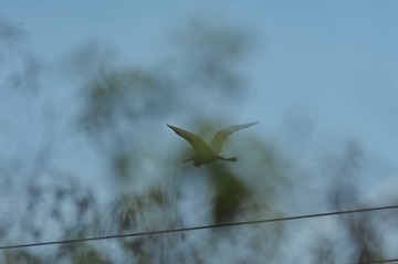 130463
