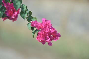 130487