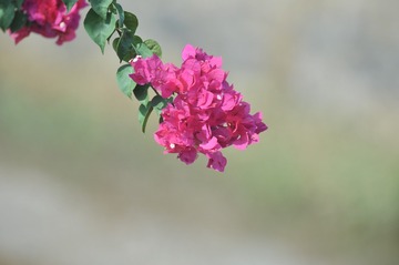 130485