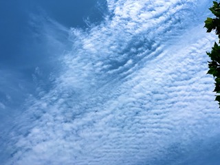 9000B9D4-3E52-4988-8993-5B39E0963257/L0/001