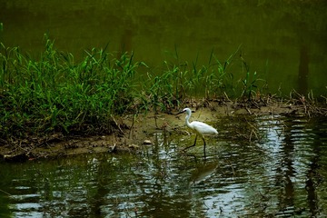 DSCF0487-1
