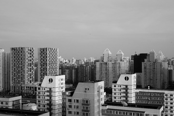 L1008039