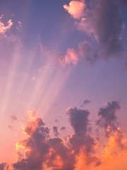 SDIM0784