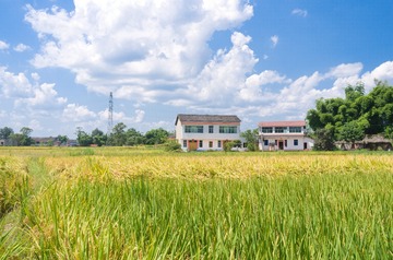 L1029091