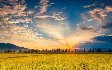 “DSC_1255”为智能对象-1