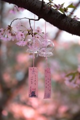 3F0A42BA-52EB-4CCF-9FEB-9842C5C5EA60/L0/001