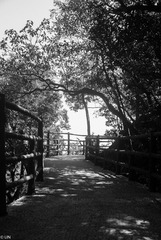三清山、婺源-4