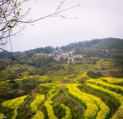 三清山、婺源-77