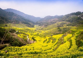 三清山、婺源-78