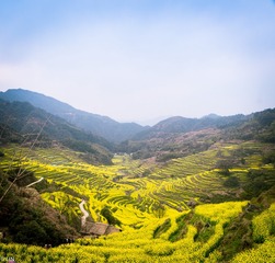 三清山、婺源-81