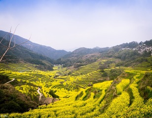 三清山、婺源-82