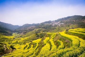 三清山、婺源-84
