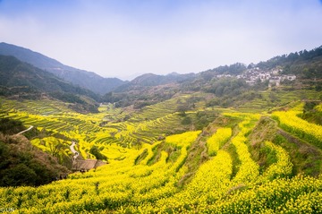三清山、婺源-86