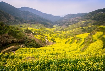 三清山、婺源-89