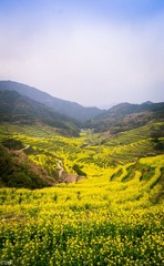 三清山、婺源-90