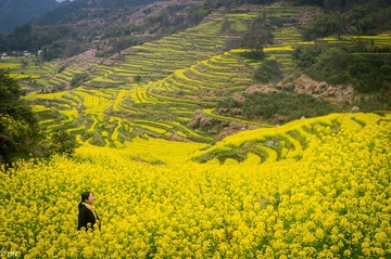 三清山、婺源-101