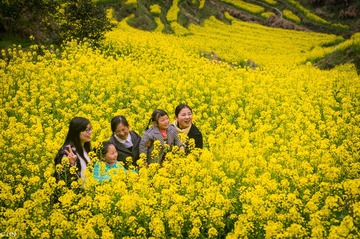 三清山、婺源-102
