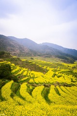 三清山、婺源-103