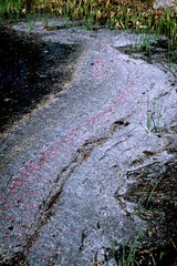 2016-04-17-00280417