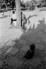 20160602(Tmax100)-26