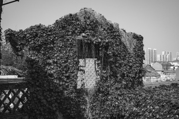 L1003439