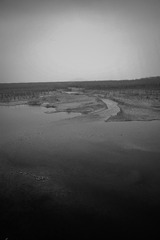 L1008316