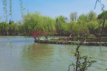 58D8423D-E6B1-4982-B00A-E885B425C30C/L0/001