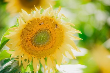13302
