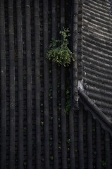 52973970-F628-45E4-9D2A-A0EE5BFE6320/L0/001