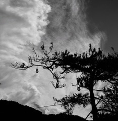3F2D09E5-F4C4-408E-B1BC-E2DF2B3506FC/L0/001