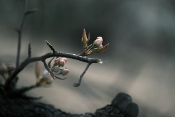 D86F3DB4-C7E9-4067-A231-9115EF0AA95D/L0/001