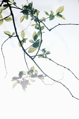 70FE674C-E54E-4994-B866-6B4520F1F852/L0/001