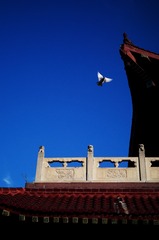 DC54E345-2AF0-4F20-9226-F27952762EF0/L0/001