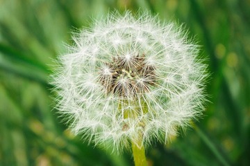 212