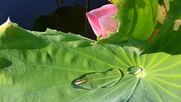 20160730_075649-