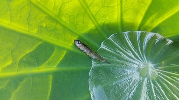 20160730_080814(0)-