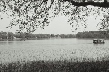 IMGP1882_1