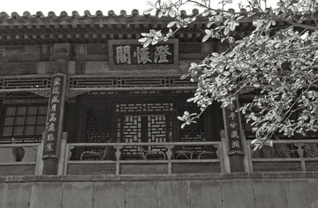 IMGP1860_1