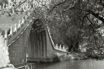 IMGP1878_1
